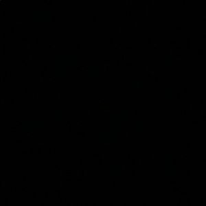 Meet your Posher, Charlie